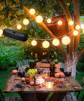 Garden party scene with table setting and 16 Pack Outdoor Extension Cord Safety Capsule Protectors for Holiday Lights, black color shown.