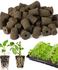 50 Pcs Rooting Sponges And Starter Plugs For Seedlings Or Cuttings, Fast Rooting For Soil, Tray Or Planting Pods