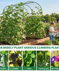 Outdoor Garden Arch Trellis For Climbing Plants, 83 Inch Tall Plant Support Arbor, shown with lush vines in raised garden bed.