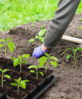 Person planting seedlings from Three Tray Seedling System With Fifty Easy Remove Nursery Pots, 10.6 x 10.6 inch trays