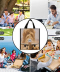 Desert Runway Plane Lunch Bag Tote With Insulated Aluminum Lined Cooler for school, office, picnic, and beach use
