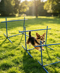 Versatile Adjustable Dog Agility Jump Set With Hurdles And Weave Poles 0 To 31 Inch Height 2.6 Foot Training Obstacle Course