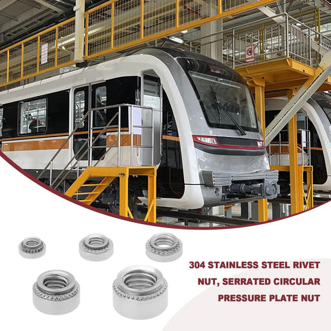 Pack Of Knurled Self Clinching Nuts M3 M4 M5 M6 M8 Crafted From Solid 304 Stainless Steel Rivet Nut Fasteners for machine application.