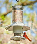 Programmable Automatic Bird Feeder Built Tough Outdoors With Darn Near Squirrel Proof Guard Weather Resistant Body Large Capacity Battery Powered Avian Dish Hassle Free Setup Classic Green with bird feeding.