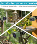 C Clamp Mount With 360 Degree Ball Head And 1/4-20 UNC Screw Adapter For Cameras And Solar Panels, Universal Bottom Mount on deck, post, and branch