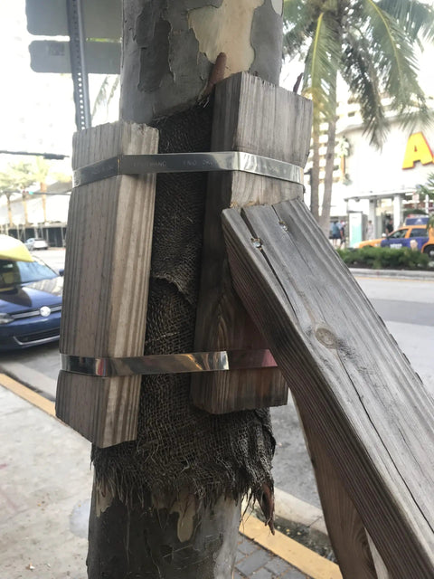 Five Eighths Inch Wide 304 Stainless Steel Band By Three Hundredths Inch Thick One Hundred Feet Long Heavy Duty for tree support