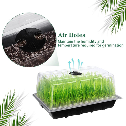 Six Pack Seed Starter Tray Kit With Humidity Domes showing air holes for germination