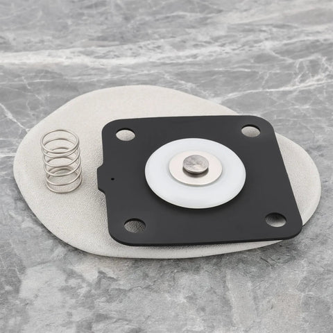 Front view of 1-inch pulse valve diaphragm plate: black square mounting plate, white diaphragm, metal plug, and spring