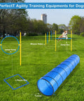 Ultimate Dog Agility Course Backyard Set For Training And Fun Outdoor Equipment with tunnel and weave poles in park.