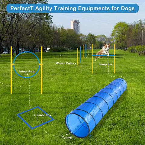 Ultimate Dog Agility Course Backyard Set For Training And Fun Outdoor Equipment with tunnel and weave poles in park.
