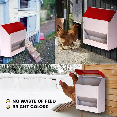 Heavy Duty Galvanized Wall Mount Chicken Feeder Designed To Kickstart Your Flock With A Secure Tilt Lid All Season Weatherproof Hanging Poultry Grain Dispenser For Backyard Coop Zero Hassle Auto Trough Holds Twenty Three Pounds, featuring chickens near the feeder.