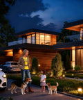 Smoother Than Butter Dimming MR16 LED Bulbs 12V And 36V Low Voltage GU5.3 Base 3000K Warm White 12 Pack illuminating a modern home.