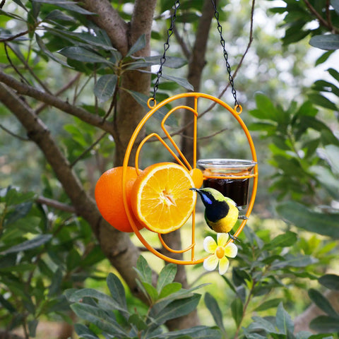Oriole Bird Feeder For Outdoors Jelly And Oranges, Orange Fruit Feeder With Glass And Metal Build hanging in garden tree