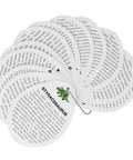 Close-up of information cards from Jumbo Dino Egg Surprise With Twelve Collectible Dinosaurs Inside One Giant Easter Egg For Easter Gifts And Stem Learning Dig Up Jurassic Figures For Boys And Girls.
