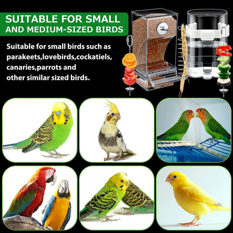 Seven Piece Bird Feeder And Water Dispenser Set For Parrot Cages No Mess Automatic Feeding Station showcasing various small birds.