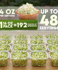 Alfalfa Sprouting Seeds Non GMO Organic For Quick No Fuss Easy Homegrown Sprouts Premium Resealable 16oz Bag Packed With Nutrients