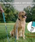 Golden retriever on Glow In The Dark Reflective Dog Run Cable 75 Foot Rugged Heavy Duty Zipline For Yard And Camping with leash.