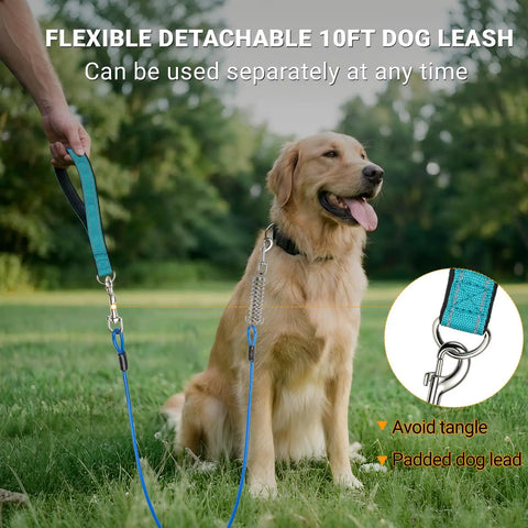 Golden retriever on Glow In The Dark Reflective Dog Run Cable 75 Foot Rugged Heavy Duty Zipline For Yard And Camping with leash.