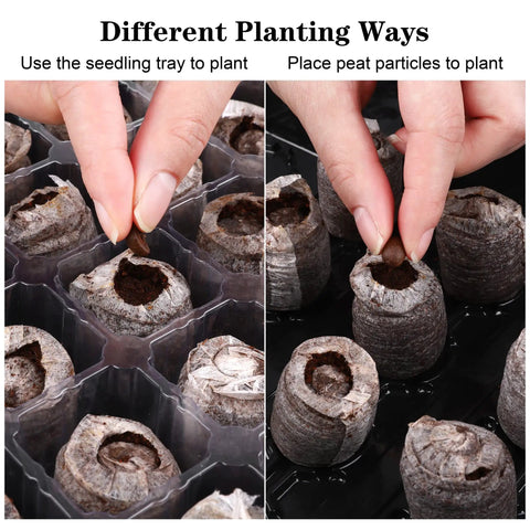 Hands placing seeds in Three Pack No Brainer Seed Starter Tray Kit With 120 Cells Humidity Dome And Base Includes 120 Peat Pellets