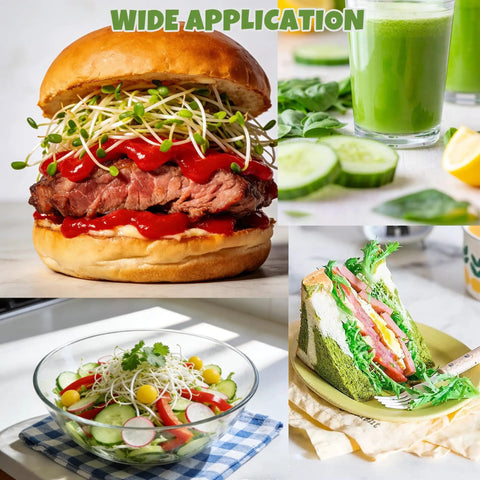 Burger and salad with sprouts made using 2 Pack Stainless Steel Seed Sprouter Trays, 2 Tier Sprouting Kit With 10.6 Inch Base Trays
