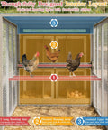 Interior view of a large 93.6 inch backyard chicken coop with run for 6 to 8 hens, featuring roosting bars and nesting boxes.