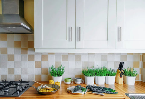 Modern kitchen with 30 Pack Brushed Nickel Square Cabinet Pulls 5 Inch Overall Length. White cabinets and green plants displayed.