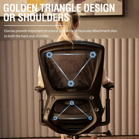 Back view of ergonomic mesh office chair showing lumbar support design with armrests and golden triangle structure support.