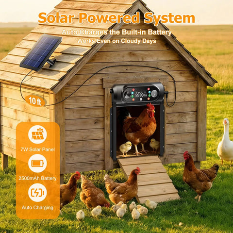 Hands-Free Solar Powered Automatic Chicken Coop Door With Large 9.45 X 10 Inch Opening Roll-Up Opener Light Sensor Timer