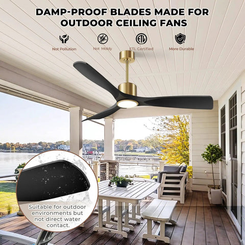 52-inch ceiling fan with matte black and gold finish over patio, 3-blade design with remote control, Alexa built-in smart fan.