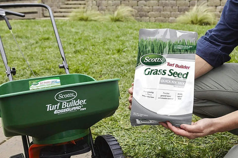 Quick Kickstart Yard Patch Grass Seed Mix For Fast Bare Spot Repair Erosion Control And Temporary Green Cover 99 Percent Weed Free Rapid Sprouting Lawn Rescue Fast Track Pack Of Three with grass seed bag.