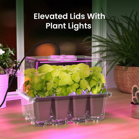 Seed Starter Kit With Grow Light And Elevated Humidity Dome For Seed Starting, Clear Cell Tray, Adjustable Humidity, 12 Full Spectrum LED Beads, Indoor Greenhouse, 6 Pack