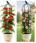 Space Saving Garden Obelisk Trellis For Climbing Plants Outdoor And Indoor Use, Rustproof Metal Plant Support in pots