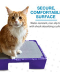 Cat on KLIMB Jr Dog Training Platform For Behavior Basics With DIY Guide Safe Space To Stop Begging Jumping And Barking Made In The USA Purple