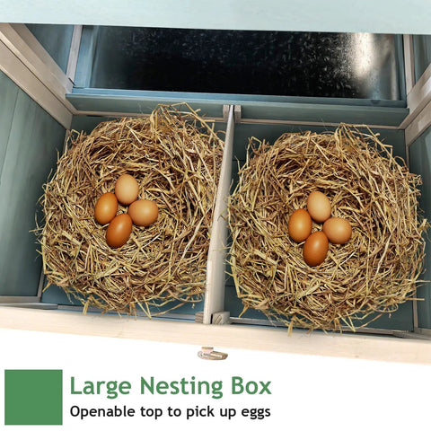 Ultra Spacious Outdoor Chicken Coop 82 Inch Hen House For Three To Four Chickens nesting box with eggs