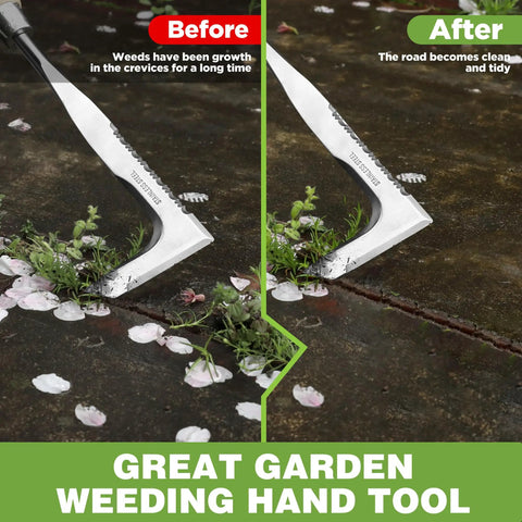 Crack Weeder 12 Inch Stainless Steel Crevice Tool With Ash Wood Handle L Shaped Sidewalk Weed Puller shown in use for moss removal