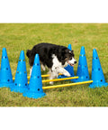 Dog Cone And Pole Agility Set For All Sizes, Adjustable Jumps, with black and white dog jumping over blue hurdles in a grassy area.