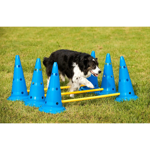 Dog Cone And Pole Agility Set For All Sizes, Adjustable Jumps, with black and white dog jumping over blue hurdles in a grassy area.