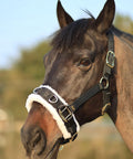 Lunge Cavesson With Fleece Lined Nose Band And Crown, Totally Adjustable By Buckle At Crown Throat And Chin, shown on a horse