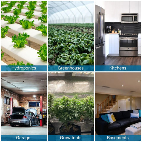 Six images of indoor environments suitable for 6 Inch Inline Duct Fan Upgrade Beefed Up High Flow 442 CFM 550 Pa Wind Pressure For Hydroponics.