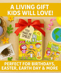 Touch Me Plant Seeds Indoor 2 Pack That Close Leaves When Touched Easy Indoor Houseplant Seeds Fun Educational Garden Kit