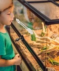 Child observing reptile tank with Two Pack Clear Reptile Terrarium Slider Lock Featuring Heavy Duty Adhesive Mount No Drill Needed.