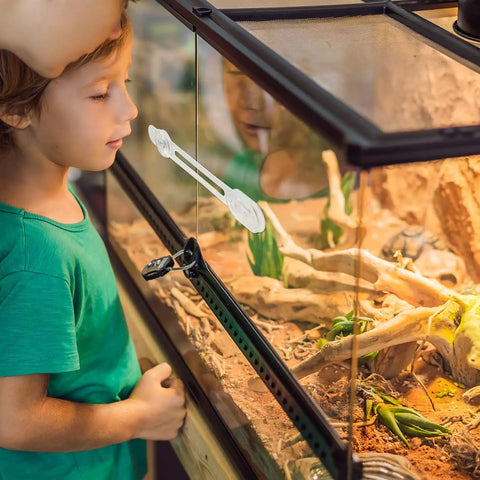 Child observing reptile tank with Two Pack Clear Reptile Terrarium Slider Lock Featuring Heavy Duty Adhesive Mount No Drill Needed.