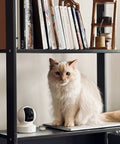 1080p Indoor Pan Tilt Security Camera for baby and pet monitoring next to cat on a shelf
