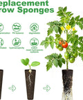60 Pack Hydroponic Grow Sponges for Indoor Gardens Replacement Seed Pods Compatible With AeroGarden iDOO showing root growth