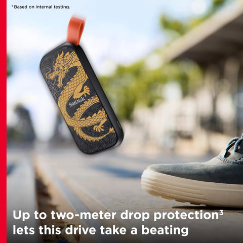 Dragon Edition 1TB Portable SSD With USB C And USB 3.2 Gen 2 shown outdoors with dragon artwork, highlighting rugged design and durability.