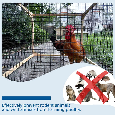 Rooster in a cage made of 1/2 Inch 19 Gauge PVC Coated Hardware Cloth Wire Mesh Roll For Fencing And DIY Projects Vinyl Coated Welded Mesh Chicken Wire 16 Inch By 10 Foot Durable Garden And Pet Containment preventing pests