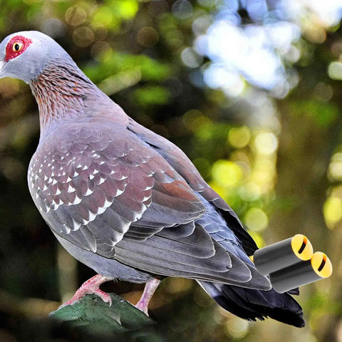Two Pack Pigeon Training Whistles for Birds, Adjustable Frequency shown with a pigeon outdoors, highlighting lightweight design