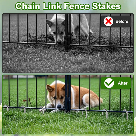 Before and after using 12 Inch Rebar Stakes With J Hook Galvanized Heavy Duty Ground Anchors for chain link fence security.