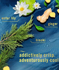 Plug In Scent Booster Starter Kit With Ocean Refills, Black Oil Diffuser Air Freshener ingredients: water lily, ginger, hinoki