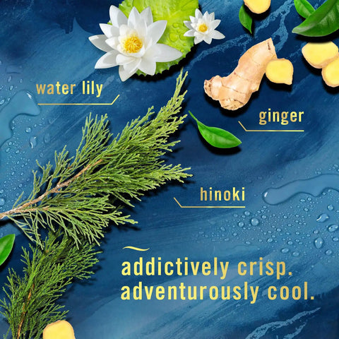Plug In Scent Booster Starter Kit With Ocean Refills, Black Oil Diffuser Air Freshener ingredients: water lily, ginger, hinoki